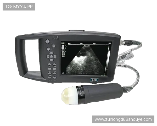 详解尊龙凯时官方下载的安装步骤与技巧